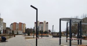 В сквере на Суркова появится 15-метровая рыба из дерева