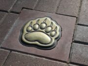 Рыбинские экскурсоводы подготовили письмо губернатору региона