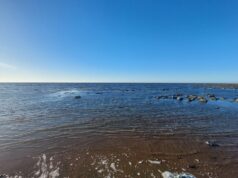 Сезон навигации в Ярославской области откроется 1 мая