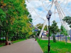 В Волжском парке установят аттракцион «Колесо обозрения»