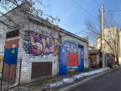 Находят и штрафуют: в Ярославской области для контроля за чистотой и порядком вводят новые меры