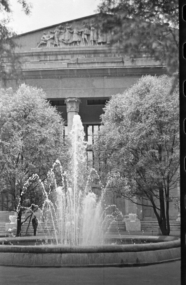 В Рыбинске предлагают благоустроить парк у «Авиатора»