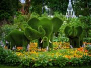 Карякинский сад стал лауреатом II Всероссийской премии «Парки России»