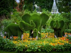 Карякинский сад стал лауреатом II Всероссийской премии «Парки России»