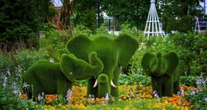 Карякинский сад стал лауреатом II Всероссийской премии «Парки России»