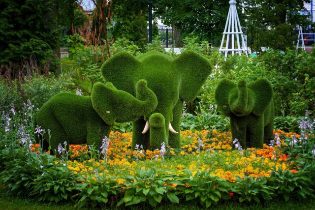 Карякинский сад стал лауреатом II Всероссийской премии «Парки России»