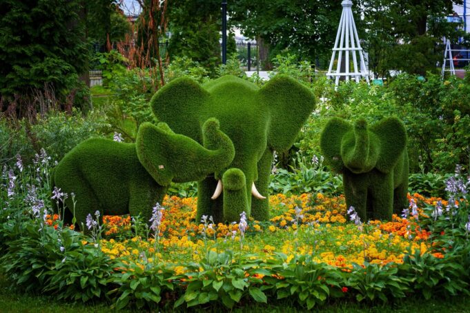 Карякинский сад стал лауреатом II Всероссийской премии «Парки России»