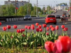 Рыбинск украсят 120 тысяч цветов