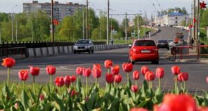 Рыбинск украсят 120 тысяч цветов