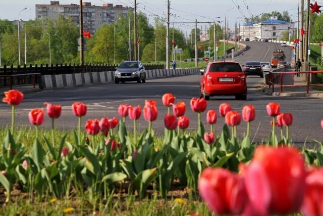 Рыбинск украсят 120 тысяч цветов