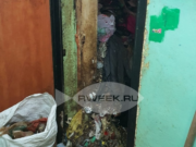 За антисанитарию в квартирах придется отвечать рублем