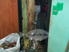 За антисанитарию в квартирах придется отвечать рублем