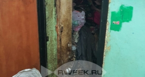 За антисанитарию в квартирах придется отвечать рублем