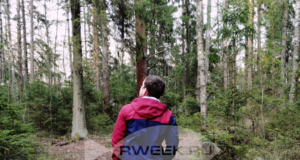 В Рыбинске за неделю 12 человек стали жертвами укусов клещей