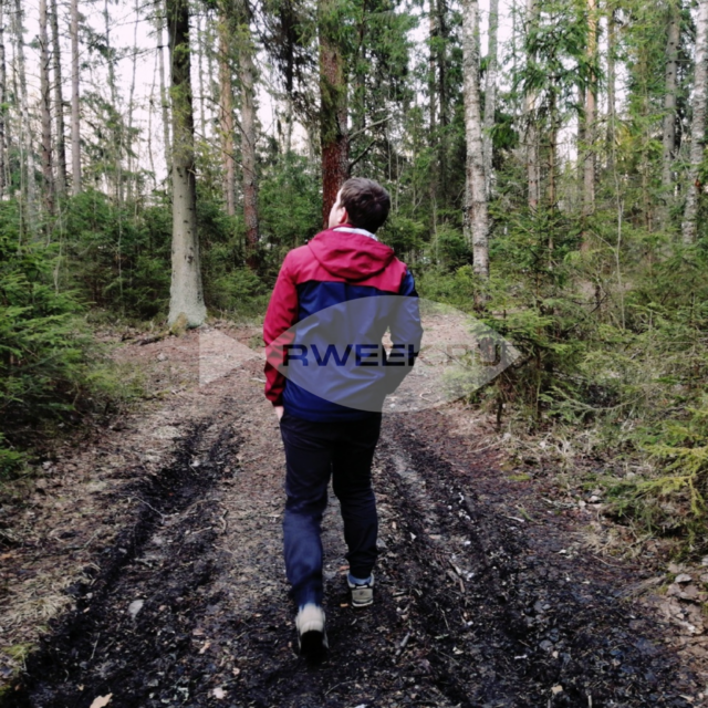 В Рыбинске за неделю 12 человек стали жертвами укусов клещей