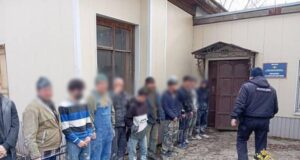 Сотни нарушений миграционного законодательства выявили в Ярославской области