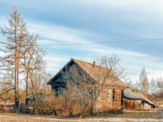 Рыбинцам на заметку: как получить компенсацию, когда топишь дом дровами