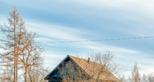 Рыбинцам на заметку: как получить компенсацию, когда топишь дом дровами