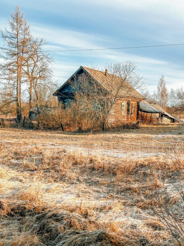 Рыбинцам на заметку: как получить компенсацию, когда топишь дом дровами