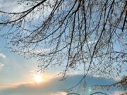 В Рыбинске пройдет Всероссийский туристический форум