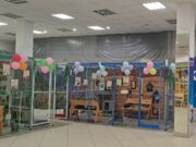 Выставка кошек в Рыбинске работала с нарушениями