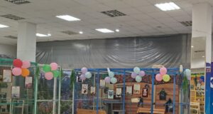 Выставка кошек в Рыбинске работала с нарушениями