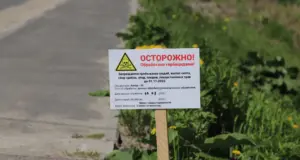 Жители региона увидят увядший борщевик вдоль 227 дорог