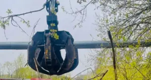 В Рыбинском районе выявили 18 несанкционированных свалок