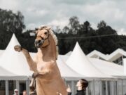 В Рыбинск приедут популярные конные блогеры Нина Принц и Лиза Лошадница