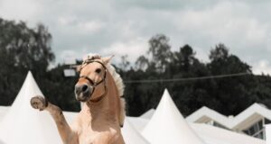 В Рыбинск приедут популярные конные блогеры Нина Принц и Лиза Лошадница