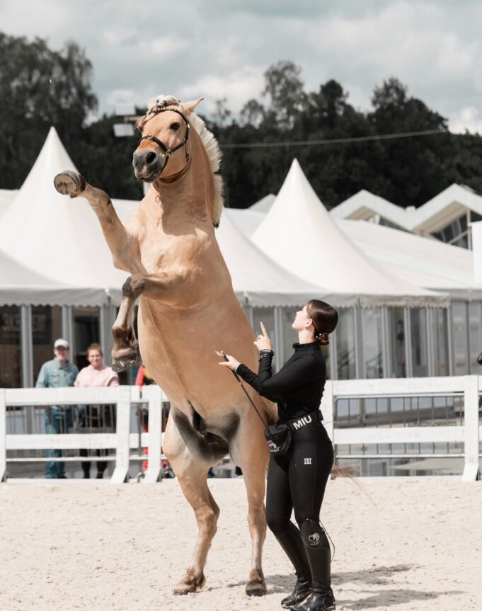 В Рыбинск приедут популярные конные блогеры Нина Принц и Лиза Лошадница