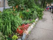 В Рыбинске выберут самый красивый двор