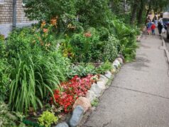 В Рыбинске выберут самый красивый двор