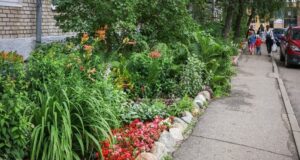 В Рыбинске выберут самый красивый двор