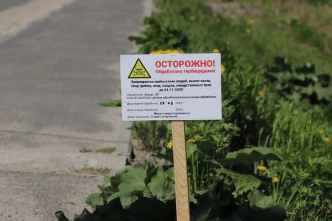 Дороги Ярославской области обработали от борщевика