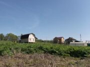 В регионе проверят, как жители ликвидируют борщевик