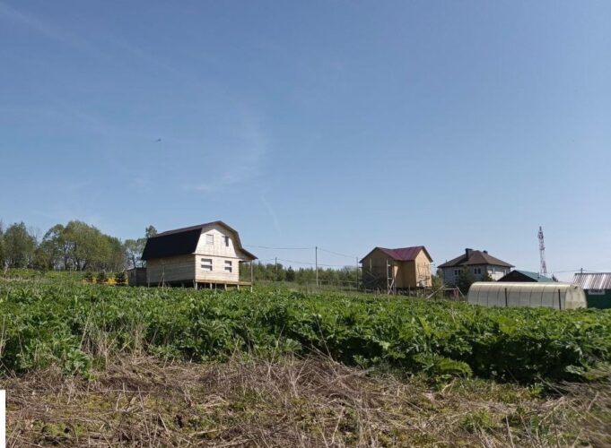 В регионе проверят, как жители ликвидируют борщевик