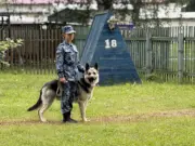 В УФСИН России по Ярославской области выбрали лучшего кинолога