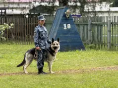 В УФСИН России по Ярославской области выбрали лучшего кинолога