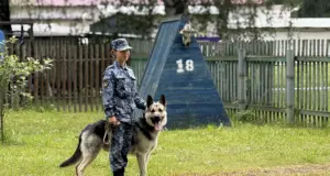 В УФСИН России по Ярославской области выбрали лучшего кинолога