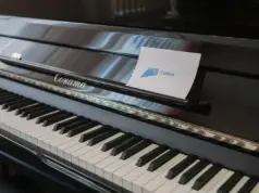 В детской музыкальной школе №2 в Рыбинске появились новые инструменты