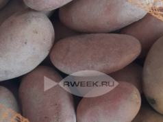 Картофель подешевеет к июлю