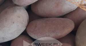 Картофель подешевеет к июлю