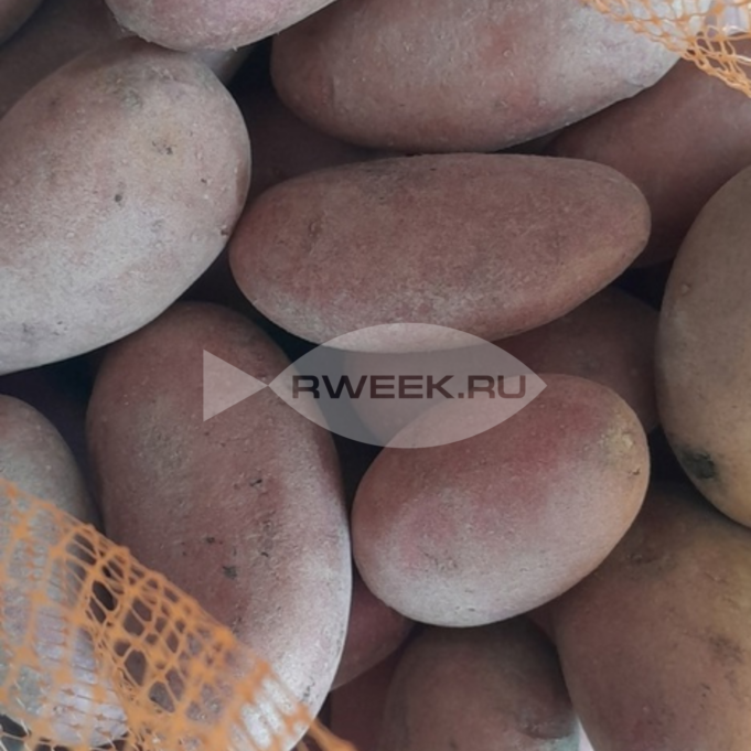 Картофель подешевеет к июлю