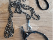 Хозяйка собаки, укусившей ребенка в лицо в Песочном, получила штраф