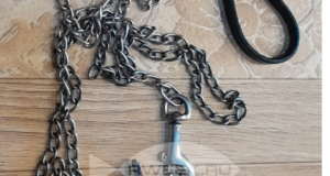 Хозяйка собаки, укусившей ребенка в лицо в Песочном, получила штраф