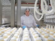 Аграрии региона за полгода увеличили производство молочной, мясной, кондитерской продукции и мороженого