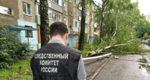 В Ярославле порыв ветра уронил столб на подростка