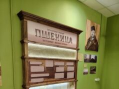 В Рыбинске на Красной площади открылся музей мельничного дела