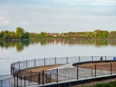 На участке набережной от «Полета» до «Вымпела» сделают велодорожку и максимально сохранят зеленые насаждения